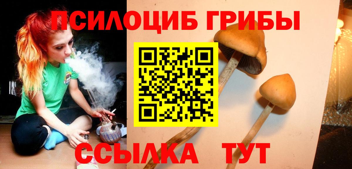 Псилоцибиновые грибы Psilocybine cubensis  Псилоцибиновые грибы мицелий  Чистополь  Вход с VPN 